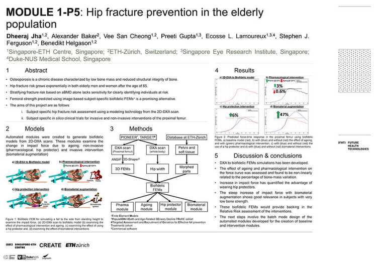Hip fracture prevention in the elderly population